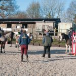 External showjumping clinic