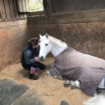 Snoozy pony