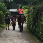 Little and large