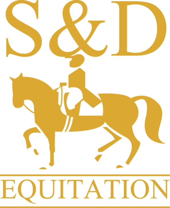 S&D Equitation